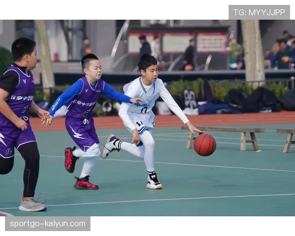 “小篮球”项目报告显示,基层青少年训练更注重位置模糊化培养