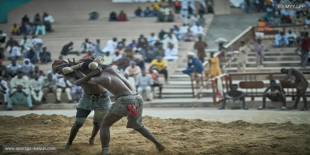 起跑线是弓,运动员是箭。🌌 🎇